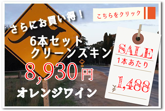 クリーンスキンバナー orarnge6本セット